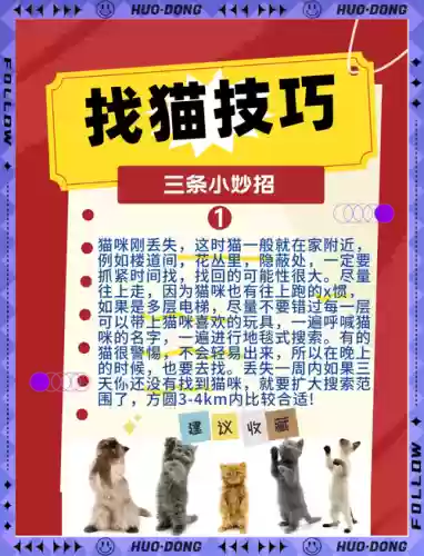 淘宝抓猫攻略5星，淘宝抓猫攻略5星怎么弄插图1