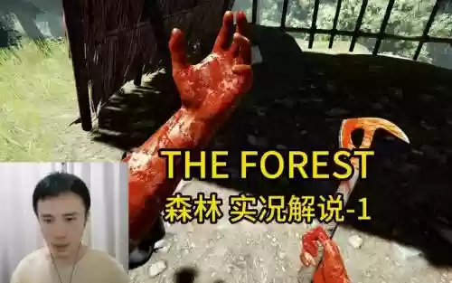 steam森林攻略视频解说，森林攻略游戏